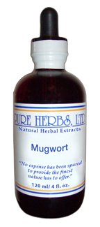 Green Ginger [Mugwort]  1oz