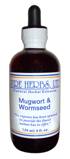 Mugwort [Green Ginger] and Wormseed 4oz